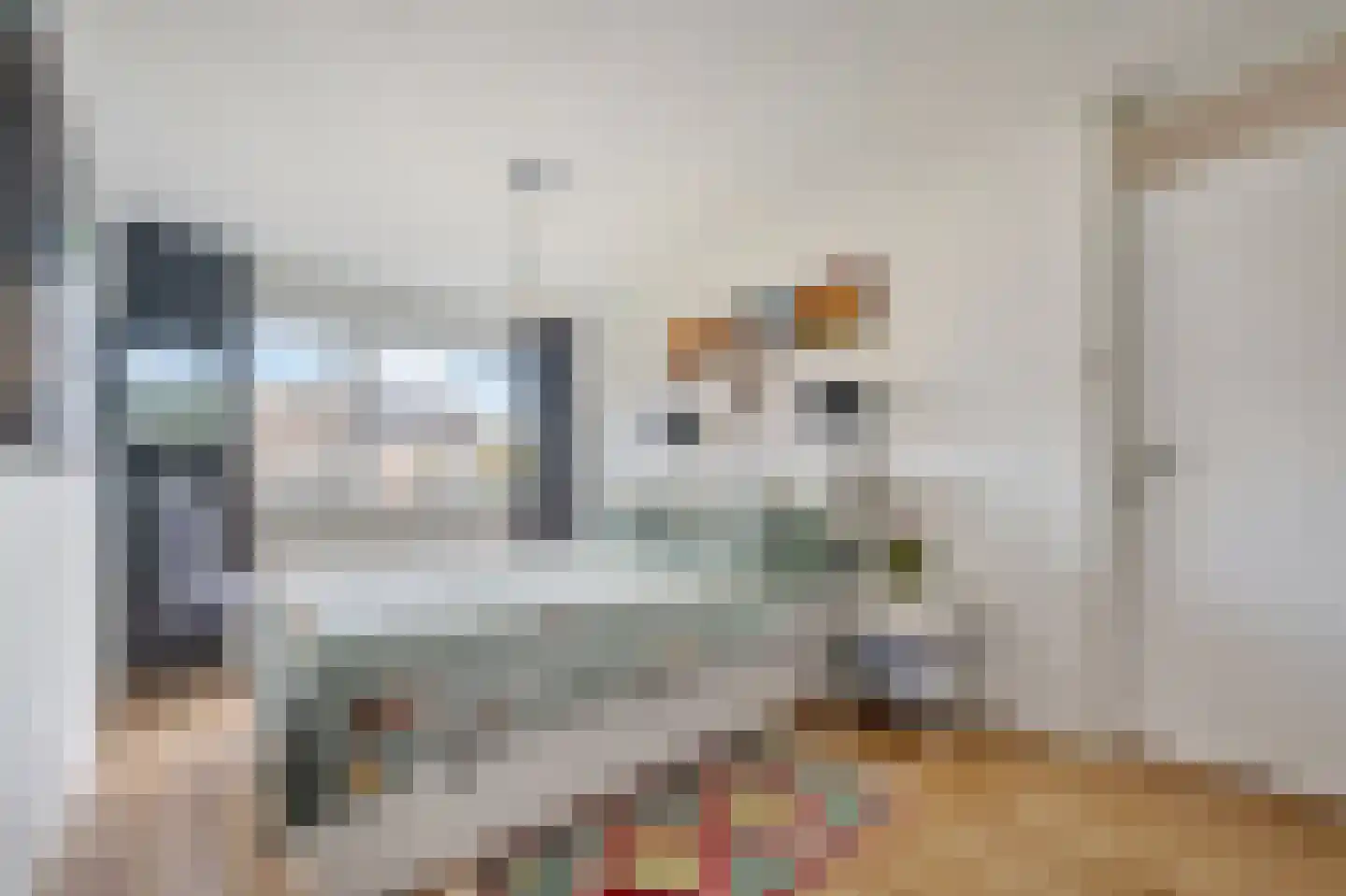 Rietakker 4 Koog aan de Zaan thumbnail 18