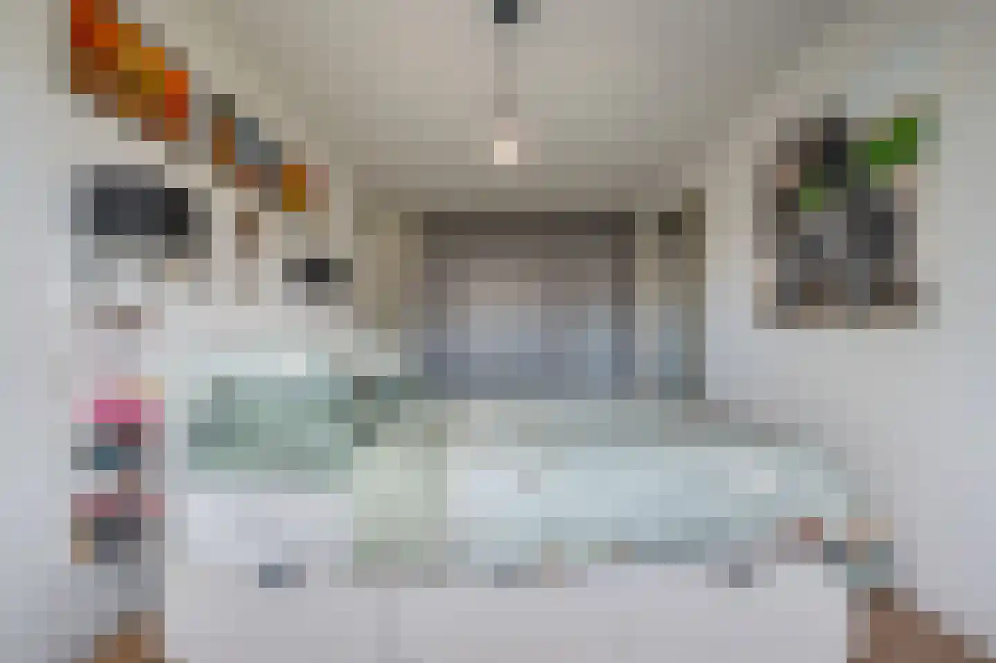 Rietakker 4 Koog aan de Zaan thumbnail 19