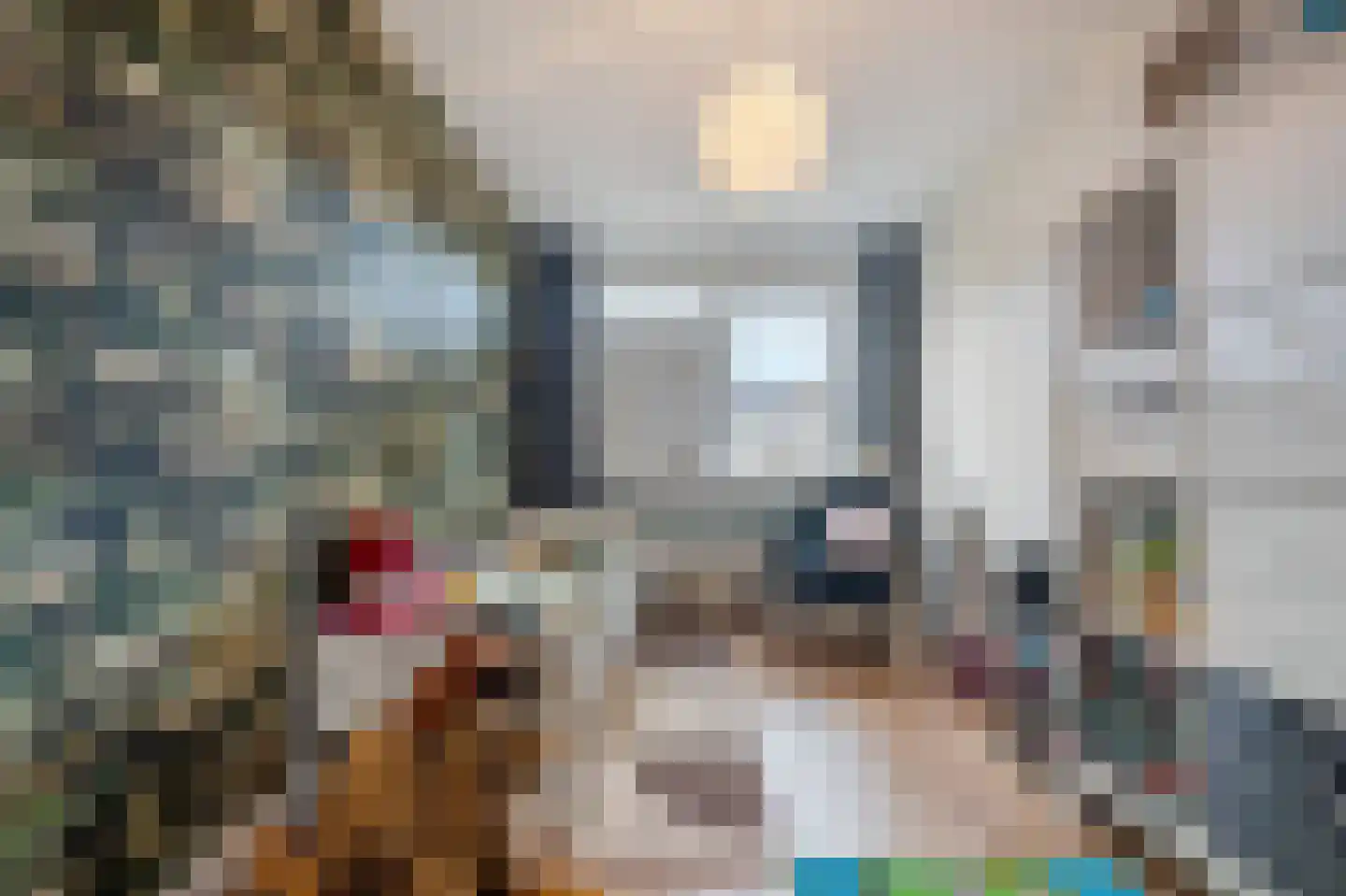 Rietakker 4 Koog aan de Zaan thumbnail 22