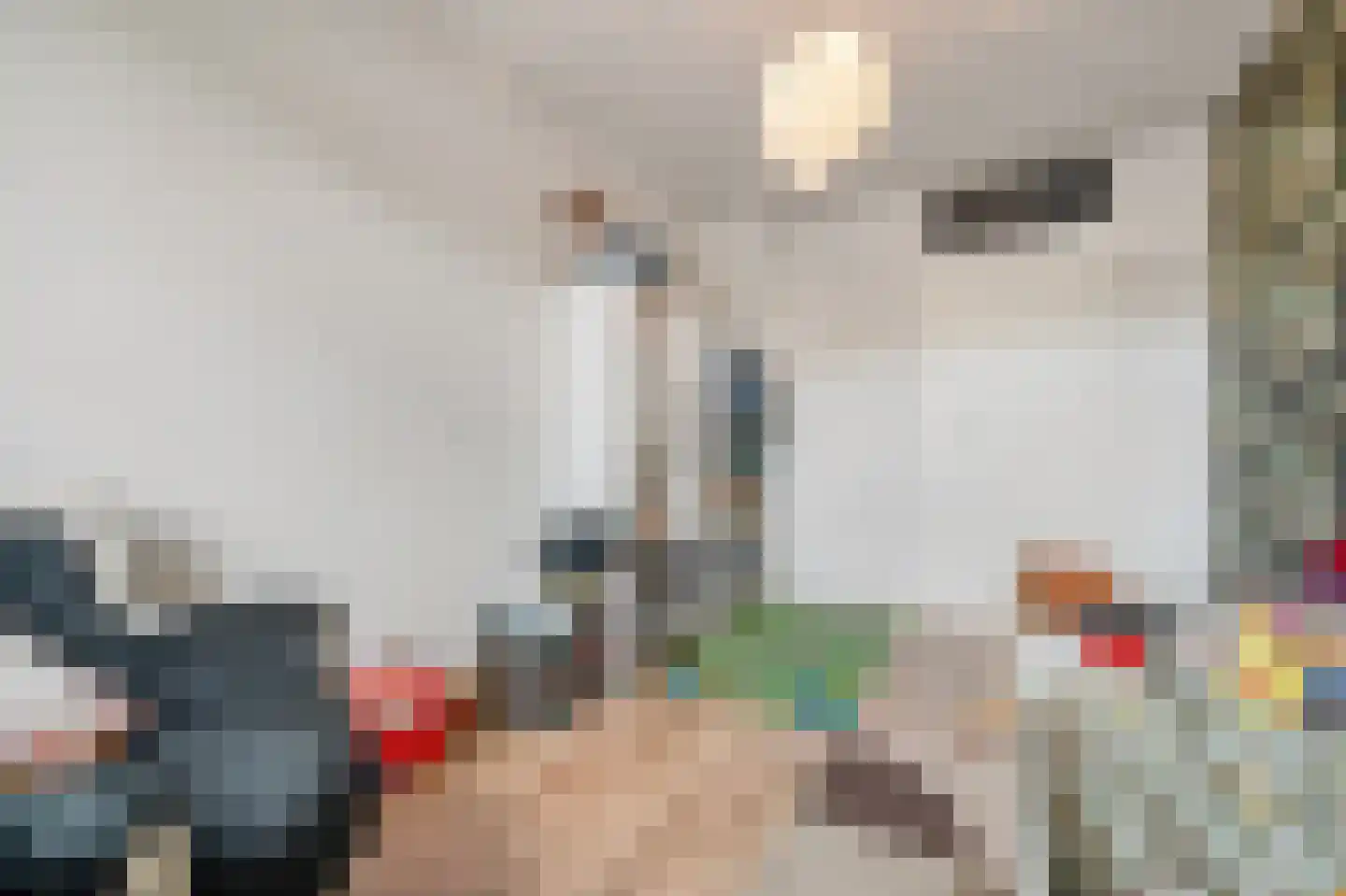 Rietakker 4 Koog aan de Zaan thumbnail 23