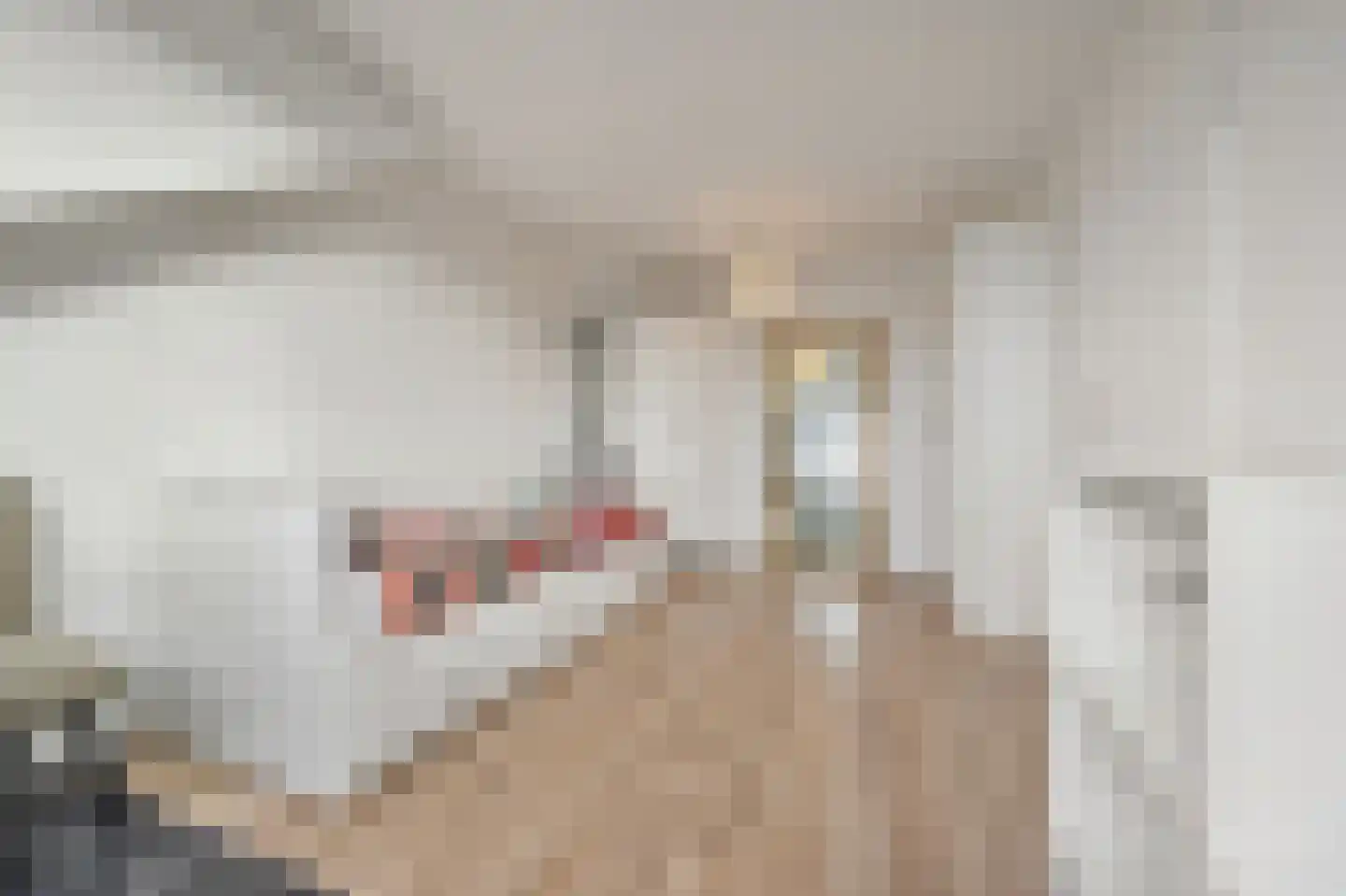 Rietakker 4 Koog aan de Zaan thumbnail 27