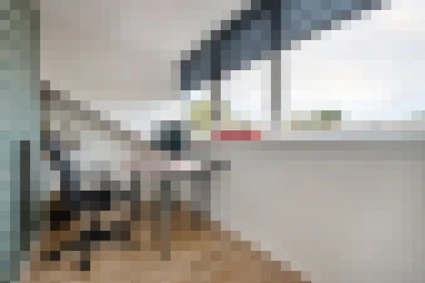 Rietakker 4 Koog aan de Zaan thumbnail 28