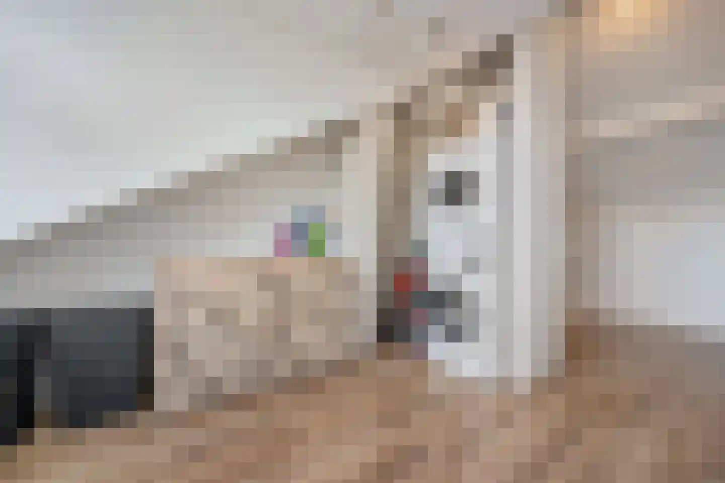 Rietakker 4 Koog aan de Zaan thumbnail 29