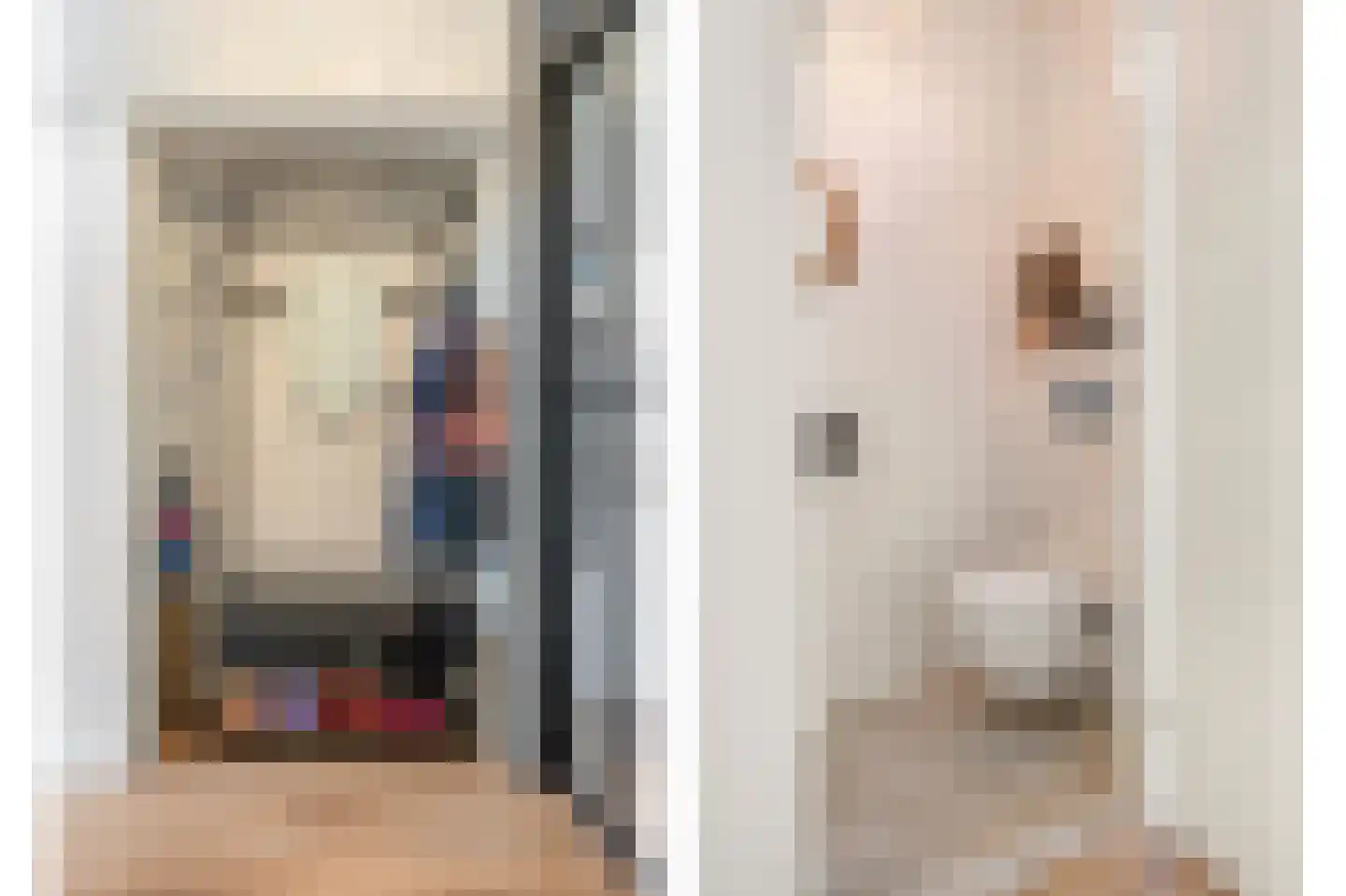Rietakker 4 Koog aan de Zaan thumbnail 30
