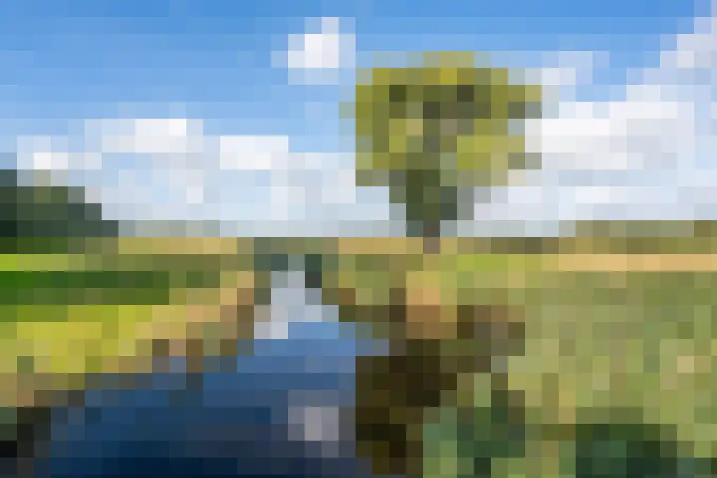 Rietakker 4 Koog aan de Zaan thumbnail 35
