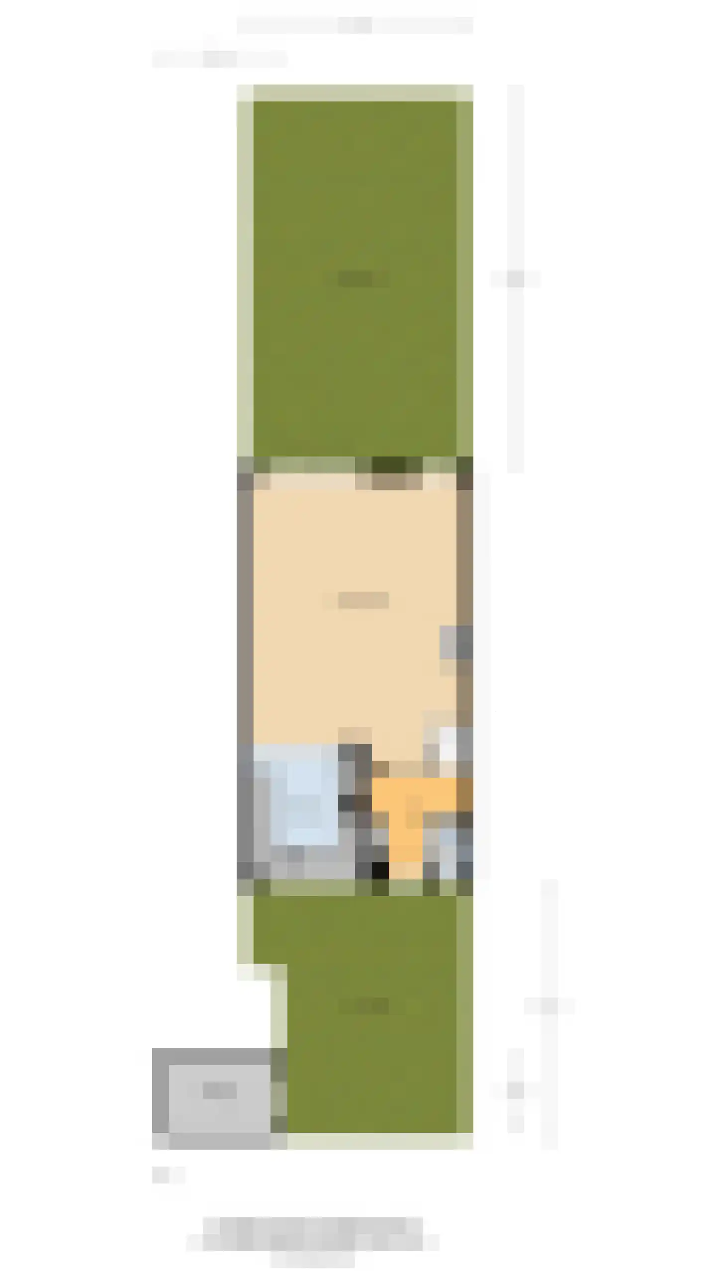 Rietakker 4 Koog aan de Zaan thumbnail 38