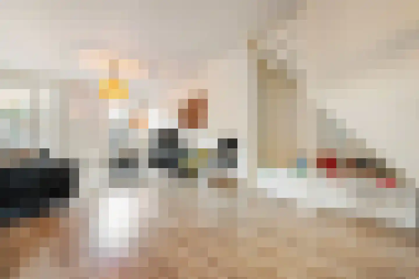 Rietakker 4 Koog aan de Zaan thumbnail 5