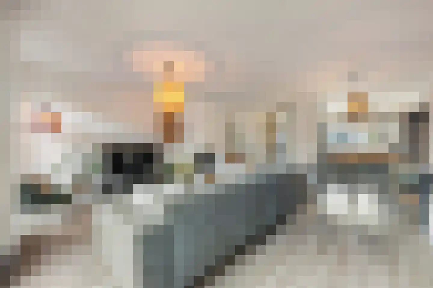 Rietakker 4 Koog aan de Zaan thumbnail 8