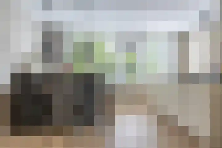 Rietbaan 13 Huissen thumbnail 13