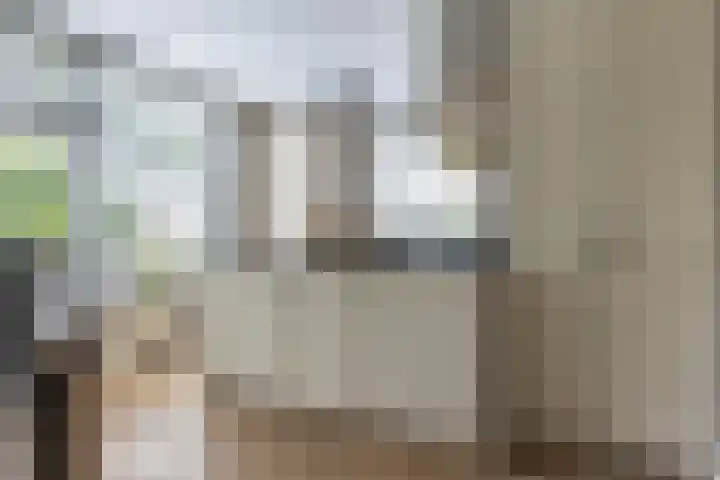 Rietbaan 13 Huissen thumbnail 14