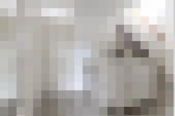 Rietbaan 13 Huissen thumbnail 19