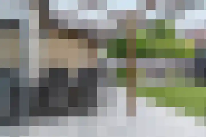 Rietbaan 13 Huissen thumbnail 30