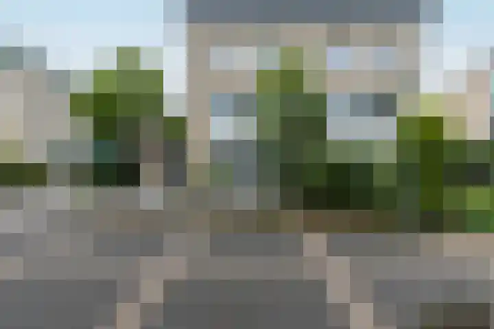 Rietbaan 13 Huissen thumbnail 5