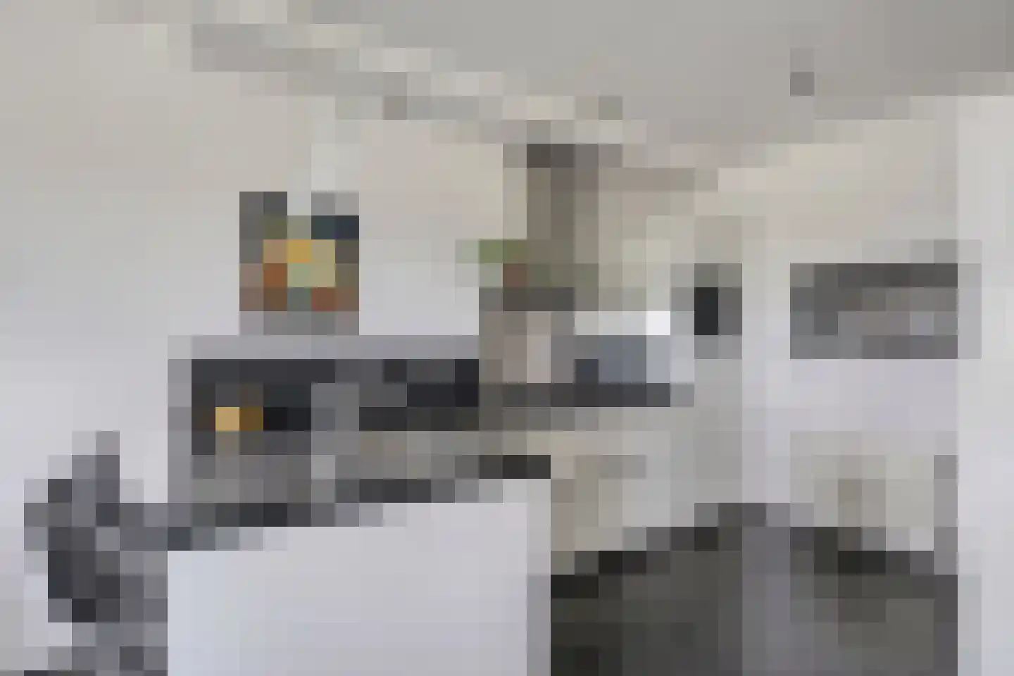 Rietbaan 24 Huissen thumbnail 10