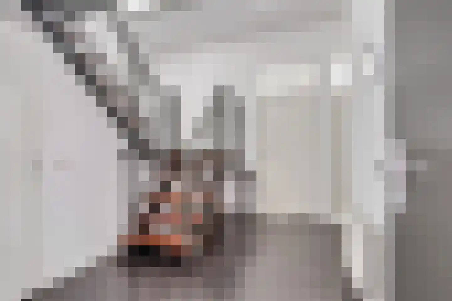 Rietbaan 24 Huissen thumbnail 14