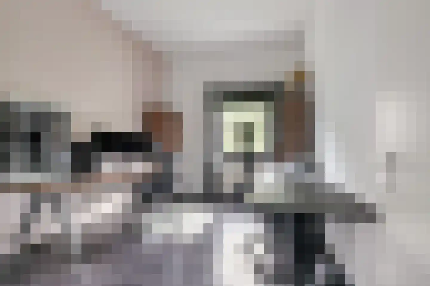 Rietbaan 24 Huissen thumbnail 15