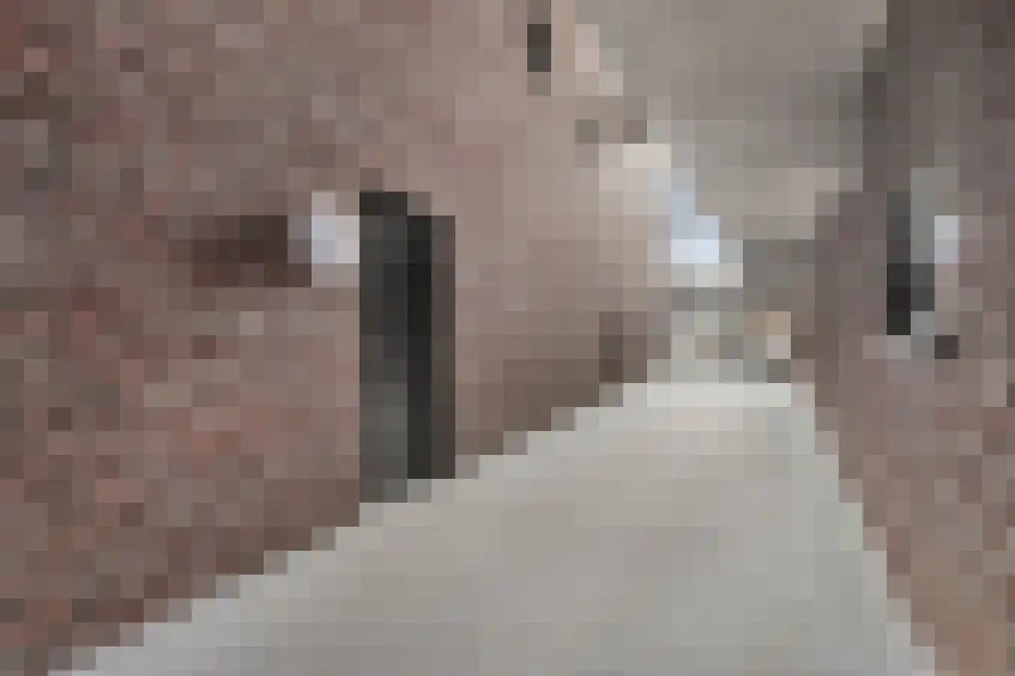 Rietbaan 24 Huissen thumbnail 21