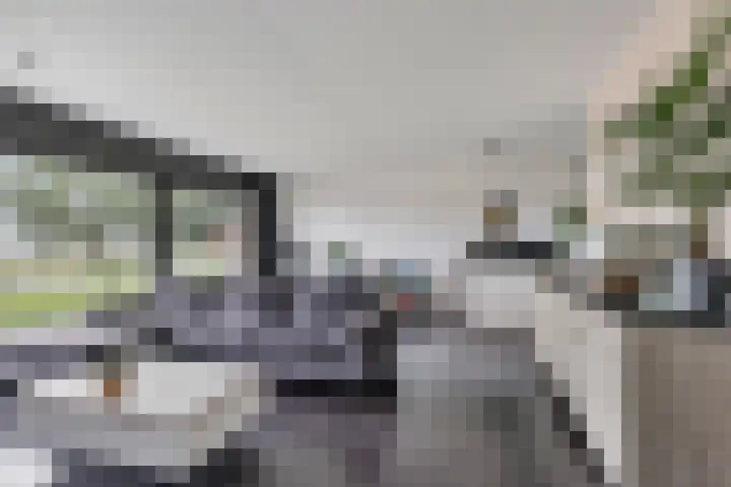 Rietbaan 24 Huissen thumbnail 5