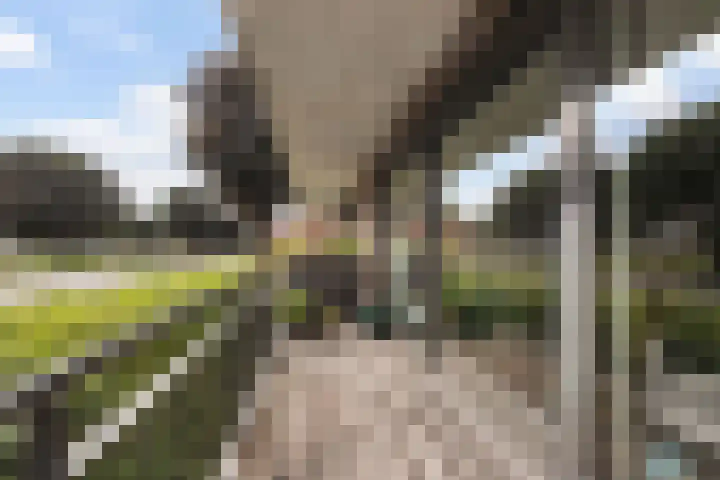 Rietbaan 24 Huissen thumbnail 7