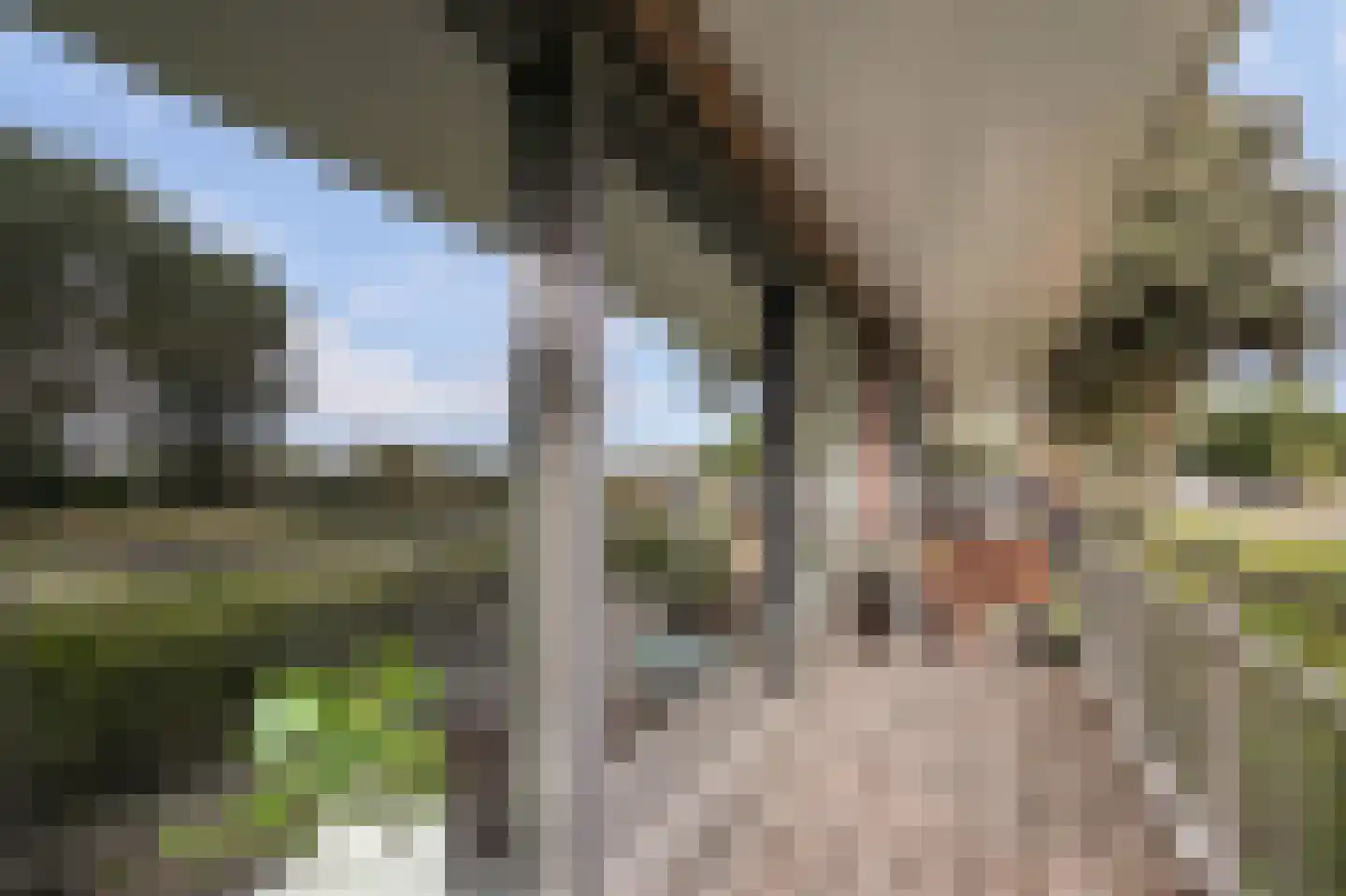 Rietbaan 24 Huissen thumbnail 8