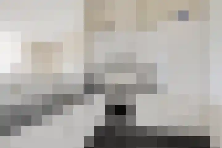 Rietbaan 30 Huissen thumbnail 13