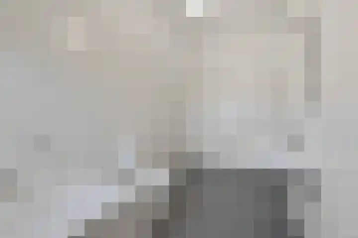 Rietbaan 30 Huissen thumbnail 19