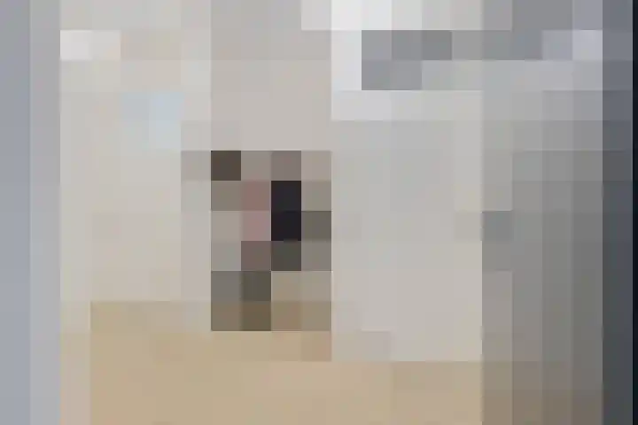 Rietbaan 30 Huissen thumbnail 4