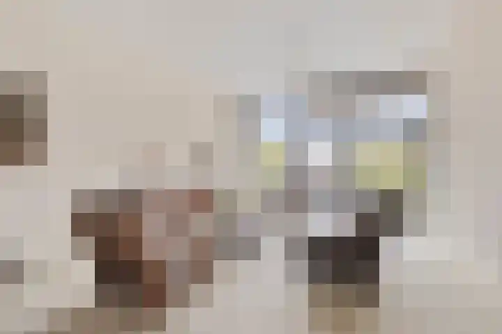 Rietbaan 30 Huissen thumbnail 7