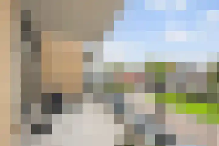 Rietbaan 30 Huissen thumbnail 9