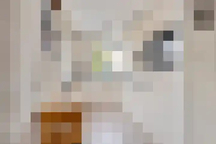 Rietbaan 41 Huissen thumbnail 13