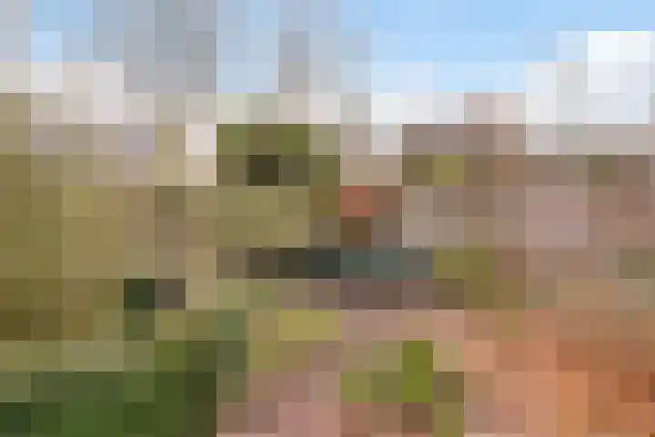 Rietbaan 41 Huissen thumbnail 30