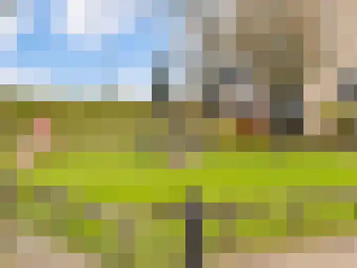 Rietbaan 41 Huissen thumbnail 32