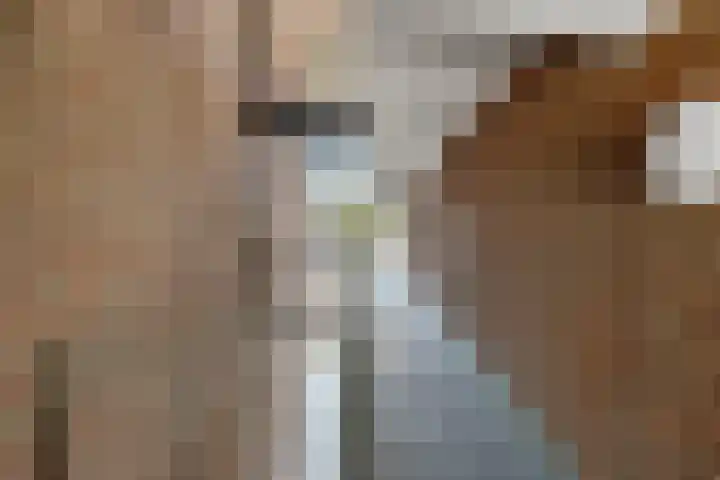 Rietbaan 44 Huissen thumbnail 21
