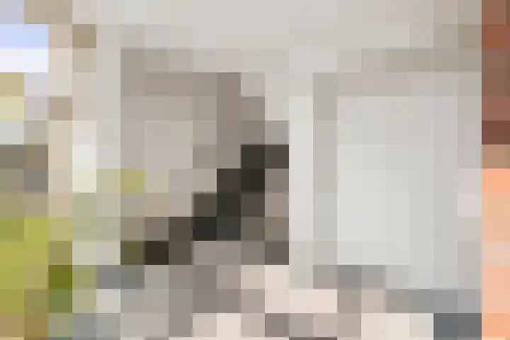 Rietbaan 44 Huissen thumbnail 22