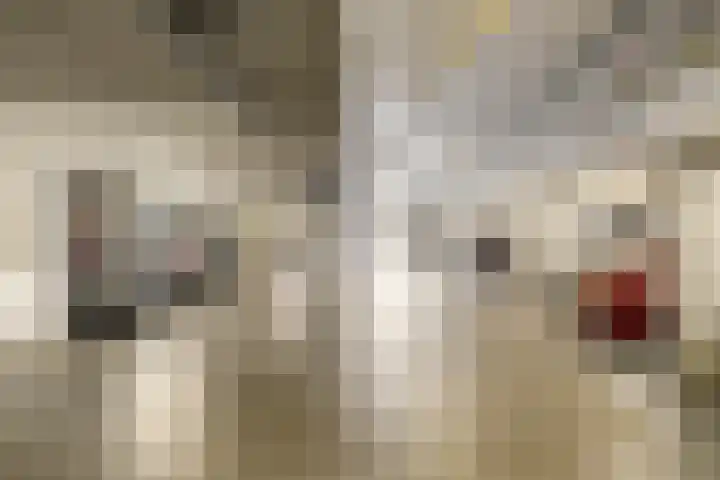 Rietbaan 44 Huissen thumbnail 23