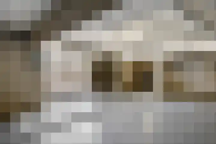 Rietbaan 44 Huissen thumbnail 24