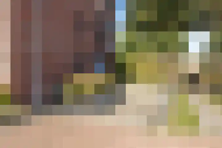 Rietbaan 44 Huissen thumbnail 25