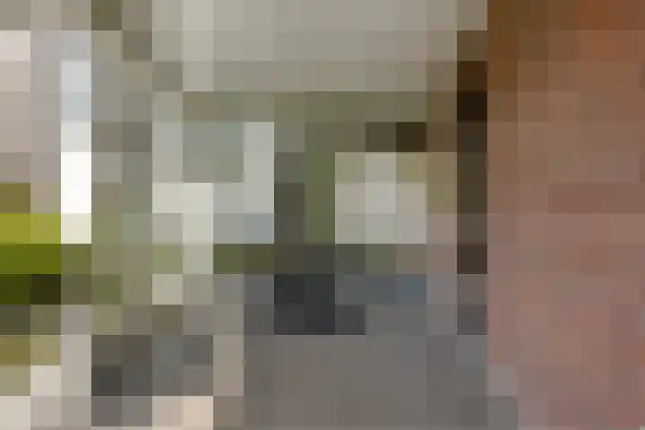 Rietbaan 44 Huissen thumbnail 4