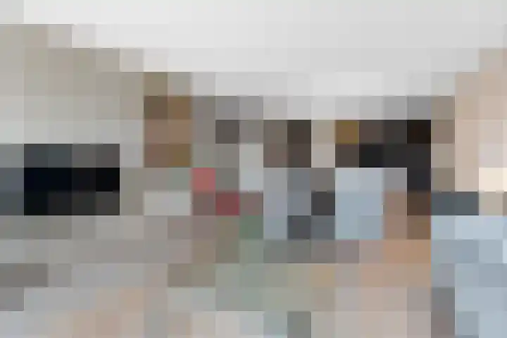 Rietbaan 48 Huissen thumbnail 11