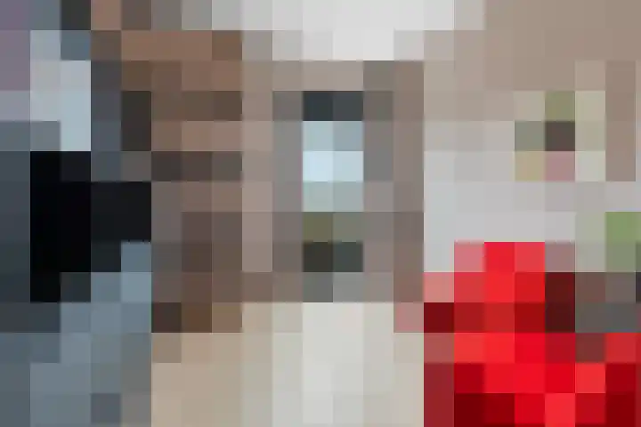 Rietbaan 48 Huissen thumbnail 19