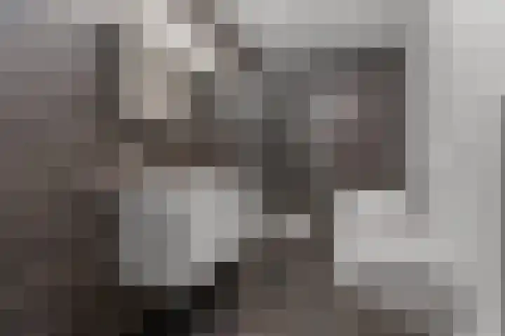 Rietbaan 48 Huissen thumbnail 21