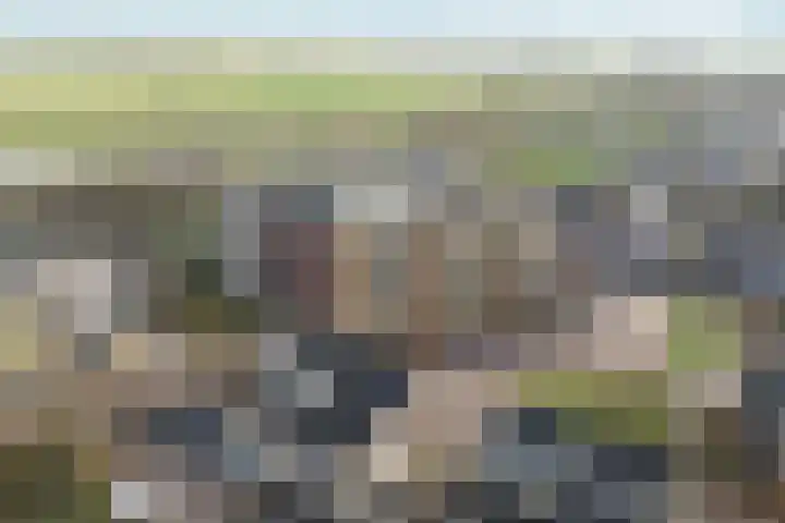 Rietbaan 48 Huissen thumbnail 36
