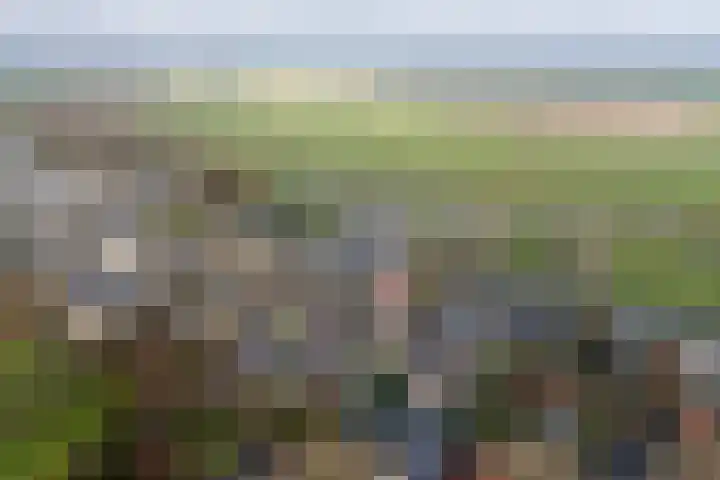 Rietbaan 48 Huissen thumbnail 37