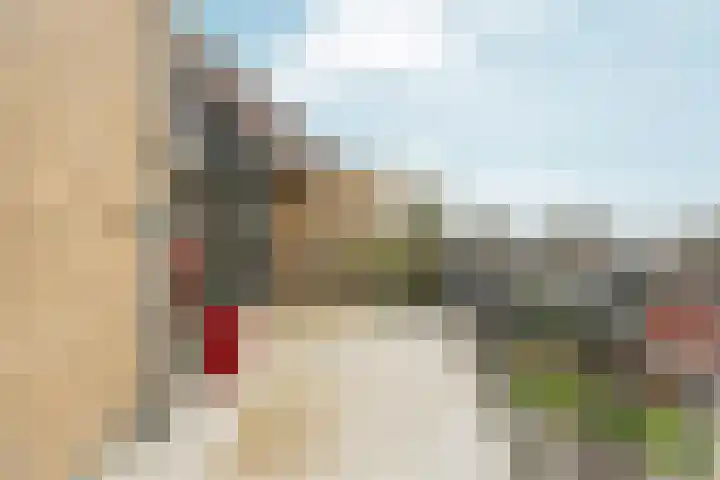Rietbaan 48 Huissen thumbnail 7
