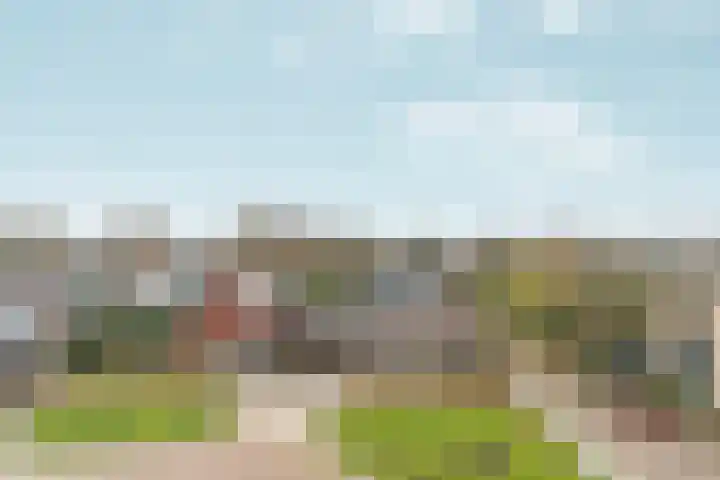 Rietbaan 48 Huissen thumbnail 8