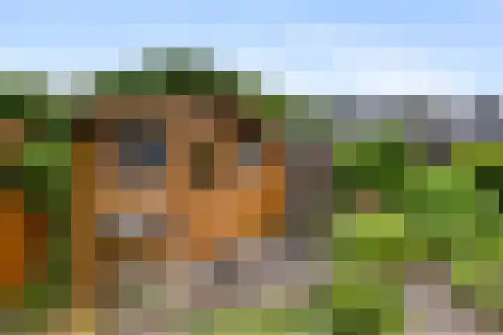 Rietbaan 53 Huissen thumbnail 15