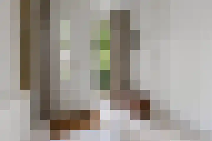 Rietbaan 53 Huissen thumbnail 18