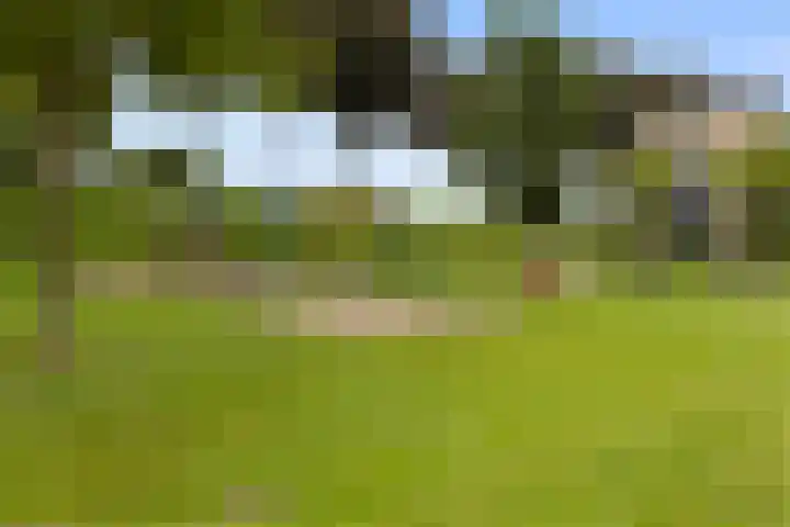 Rietbaan 53 Huissen thumbnail 30