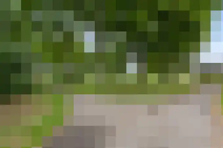 Rietbaan 53 Huissen thumbnail 32