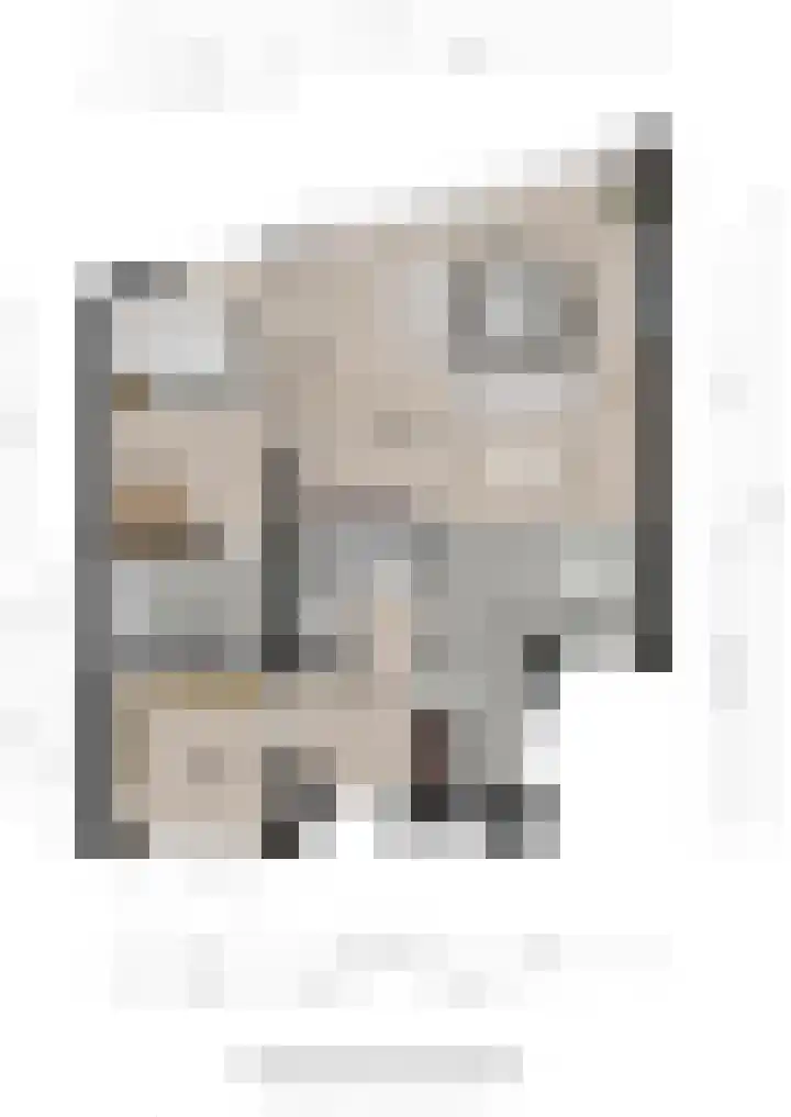 Rietbaan 53 Huissen thumbnail 33